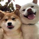 陈陈陈陈陈......